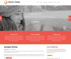 Nexus - Free Drupal Theme